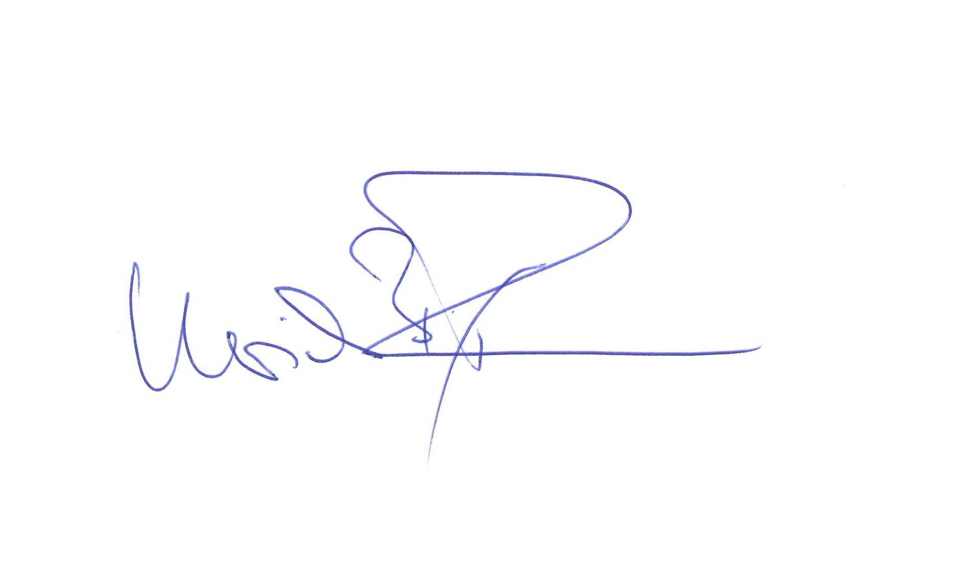 Unterschrift (eingescannt)